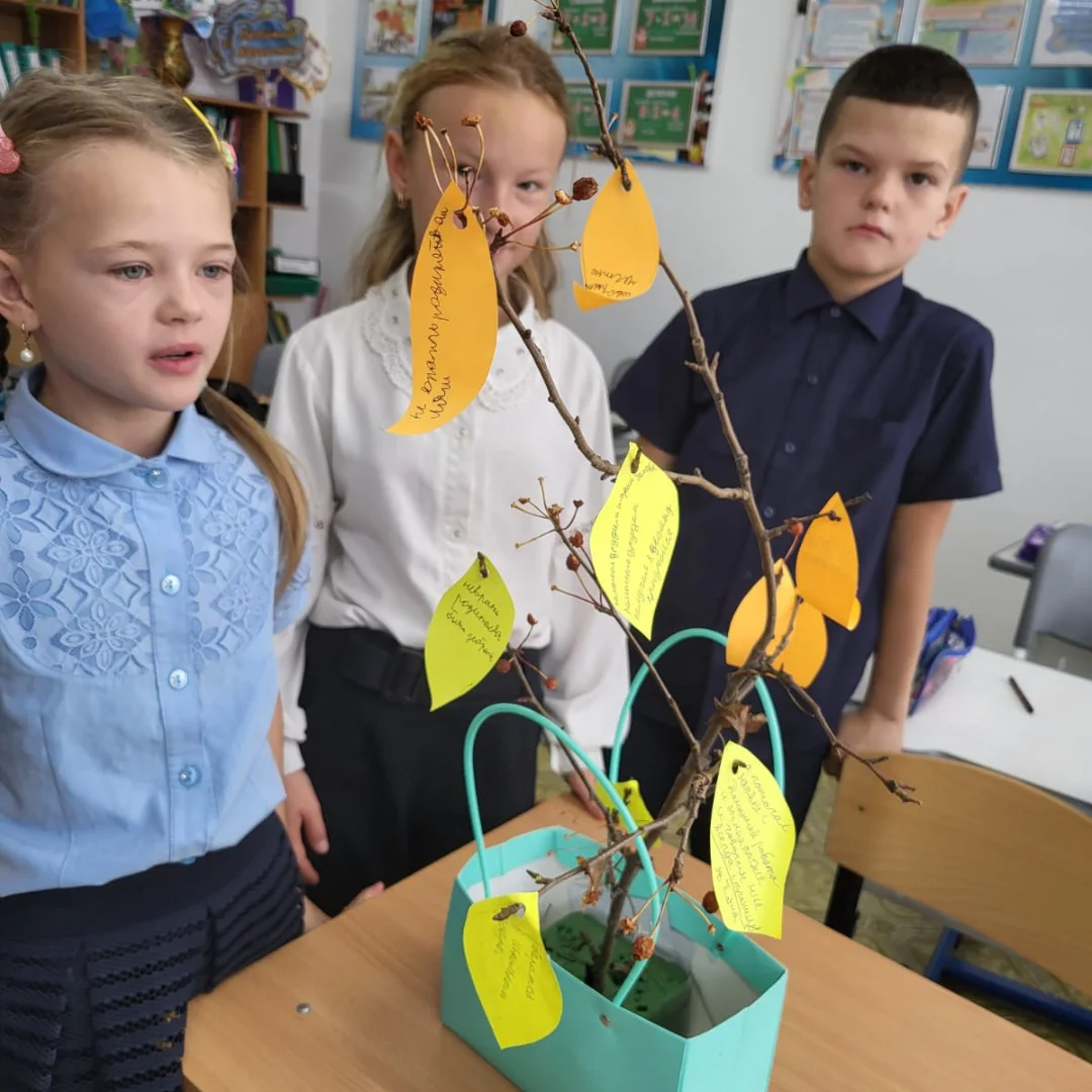 573844590 18060754091445208 7207551858259224065 n