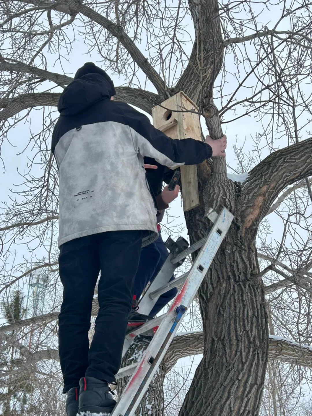 SnapInsta.to 635386003 18070146815445208 6686443503387262979 n